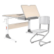 Комплект Anatomica Study-100 парта + стул клен/серый с серым стулом Ergo Chair