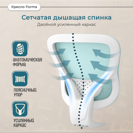 2. Сетчатая спинка